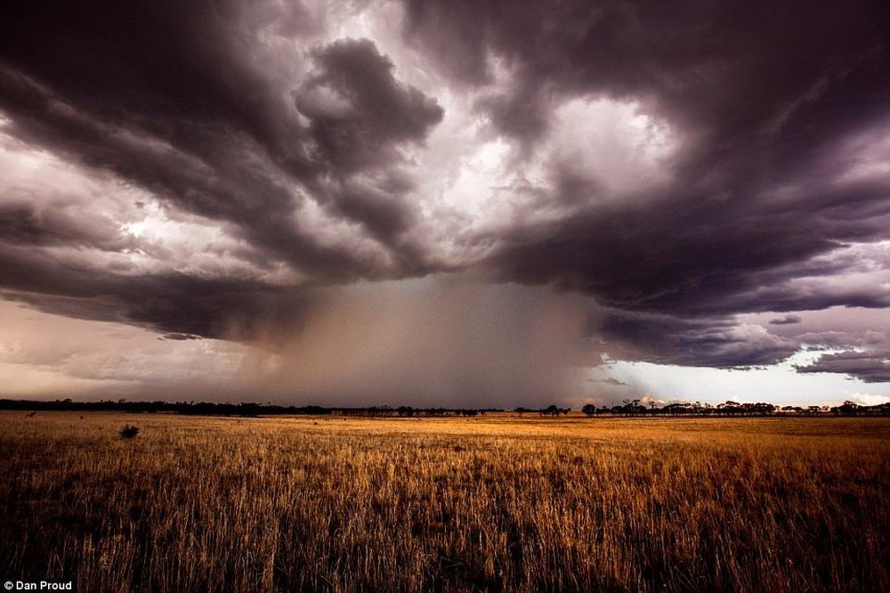 cq34936's tweet photo. great, beautiful nature
#followback #nature #life https://t.co/rjlrZKkYFP