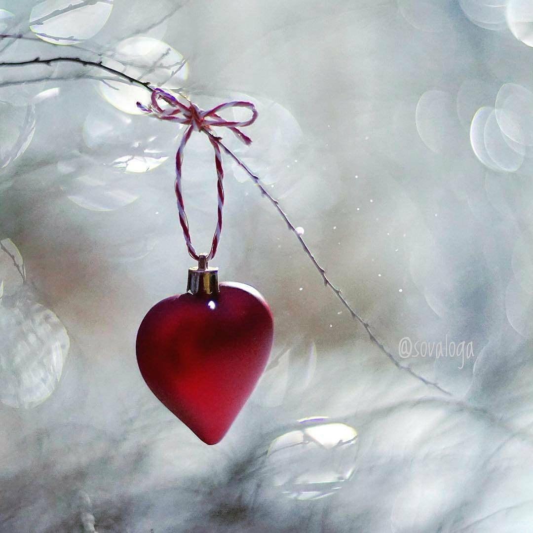 SoyLauraRivas's tweet photo. Es Amor... Estoy contigo por Amor #ModoLau #VivirEsIncreible #QuericoSerYo #FelizdeTodaFelicidad #TAMJ #SiMiGeneral #AmorHermoso ✈️💮🍀💙🎁 mi regalito del cielo https://t.co/vBFfCAQGGi