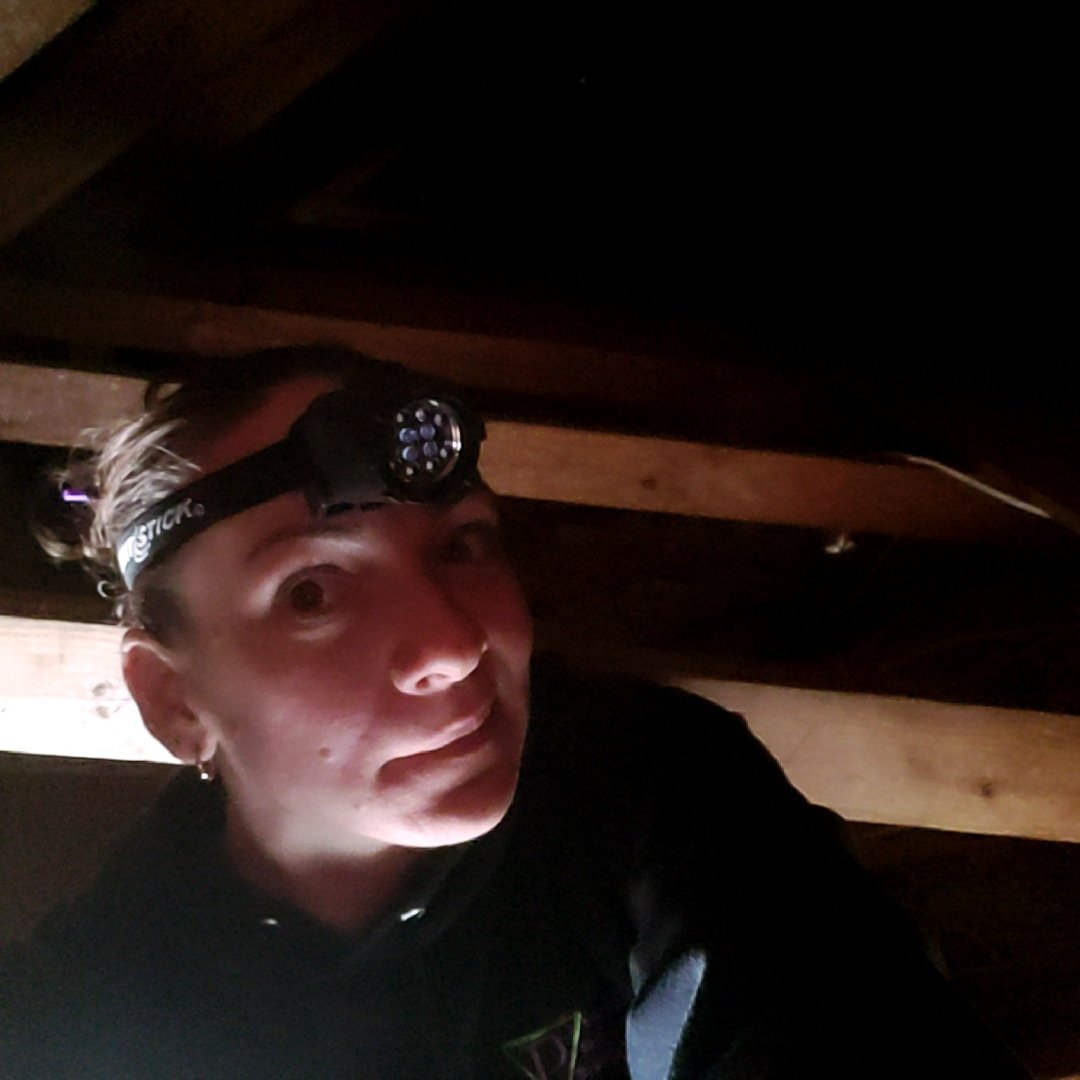 BugGirlJacky's tweet photo. #termiteinspector #realestate #P3ForMe https://t.co/ugZWSY7pb3