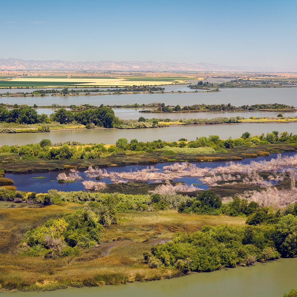 WesternWaterCA's tweet photo. California WaterFix will increase water reliability. Learn about the benefits by visiting our website. https://t.co/mKdYMUtepZ #KeepSavingCA #CAWaterFix https://t.co/nRmTz92mhw