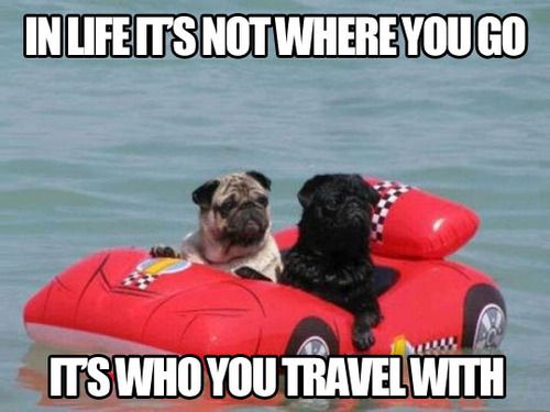 OrionTravelinx's tweet photo. Hits us right in the travel feels 💕🌎
•
•
•
#oriontravelinx #trustatraveladvisor #friends #travelbuddies #memories #friendswhotravel #pugs https://t.co/XTscwWSdNj