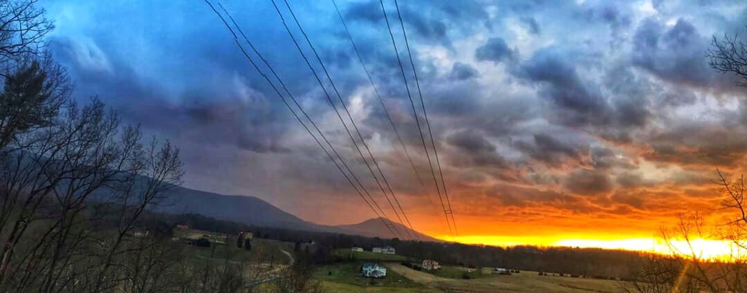MuseVineyards's tweet photo. #museviews visit us today, OPEN 12-8pm.
Featured lunch specials~ Turkey Avocado Goat Cheese Panini, & Butternut Squash Soup w/ roll.
Don’t forget to try our *NEW* fresh baked bread 🥖 🥂
#freshbakedbread #winebythefire #tastingroom https://t.co/xmmciO8QTC