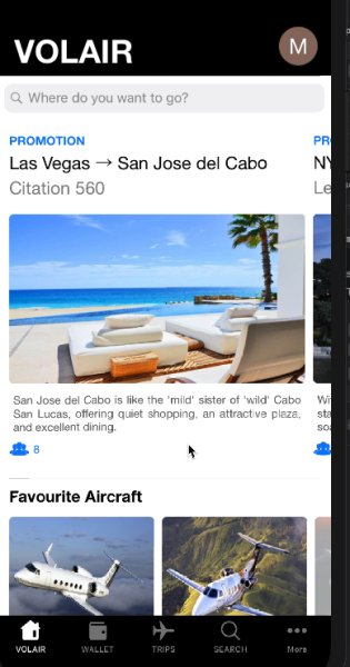 VolAir_io's tweet photo. We're ramping up to our #ios #app launch and just finishing our #promotions page, to provide our users with the best empty leg deals for their needs! #privatejet #jetcharter #flywithus #wheelsup #VolAir https://t.co/G2AhsbbJPE