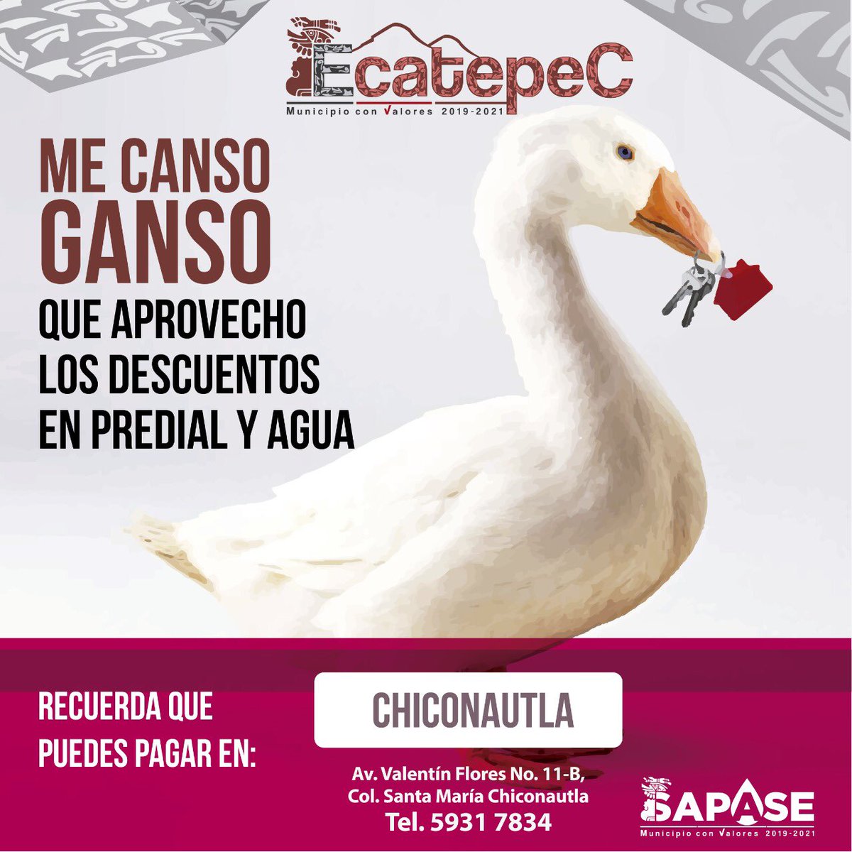 InfoEcatepec tweet picture