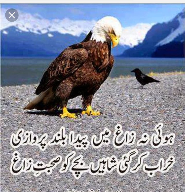 For Shah fasal