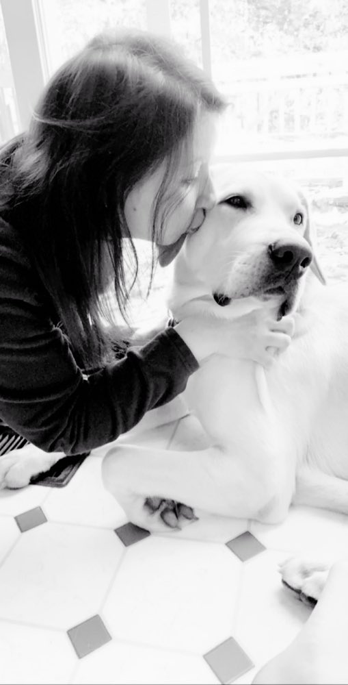 squackyvoice's tweet photo. Does anyone else feel like their dog is so adorable, he/she should be a dog model?! I do.... and here’s why👇🏻 #Cosmo #BFF #HeSmiles #YellowLab❤️❤️ https://t.co/LUHY4JB9cn