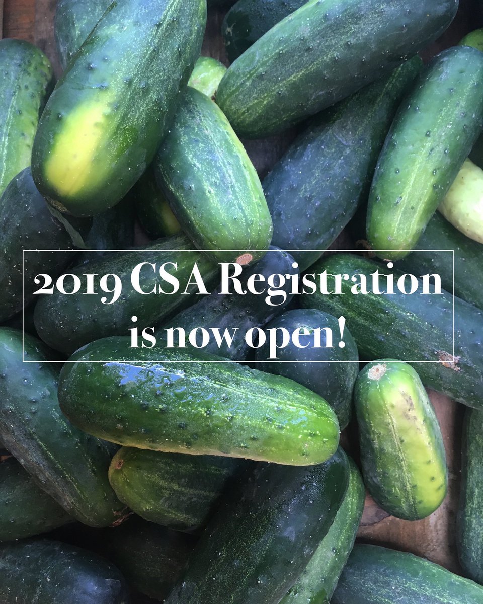 Allandale Farm tweet media