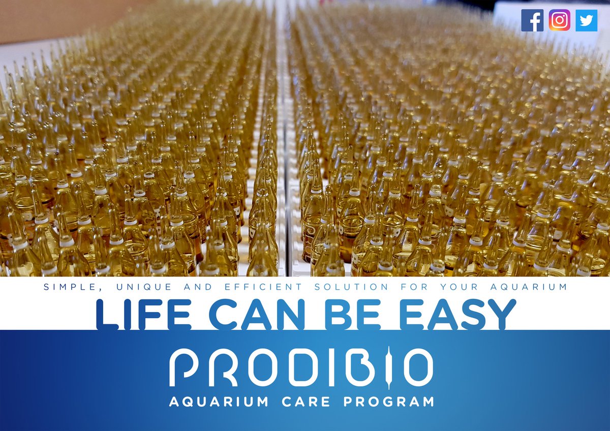 ProdibioAqua's tweet photo. #ProdibioVial #prodibio 
#lifecanbe easy
#lifecanbe fun
#AquariumCareProgram https://t.co/CQNXAIGvgg