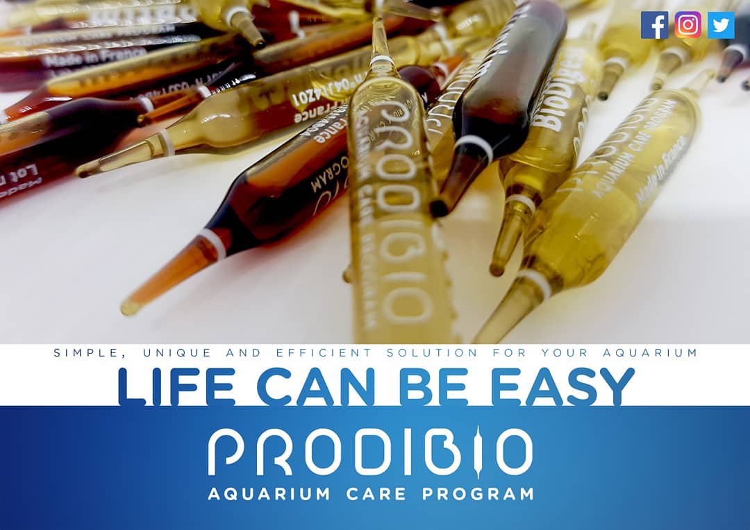 ProdibioAqua's tweet photo. #ProdibioVial #prodibio 
#lifecanbe easy
#lifecanbe fun
#AquariumCareProgram https://t.co/CQNXAIGvgg