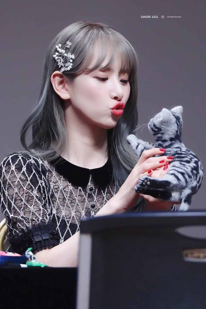 SangreAzul1224_'s tweet photo. 190111 예판 팬싸
오래오래 좋아합니다😭
#우주소녀 #설아 
#WJSN #SEOLA https://t.co/L6pv7fyynt