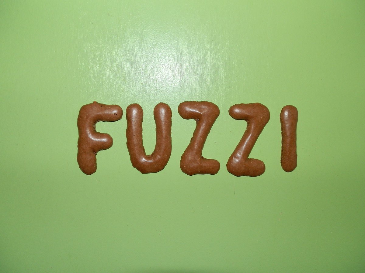 TypischDuits's tweet image. 'Fuzzi': over rare snuiters en onaangenaam bezoek #TypischDuits [Blog] typischduits.wordpress.com/2019/01/11/fuz…