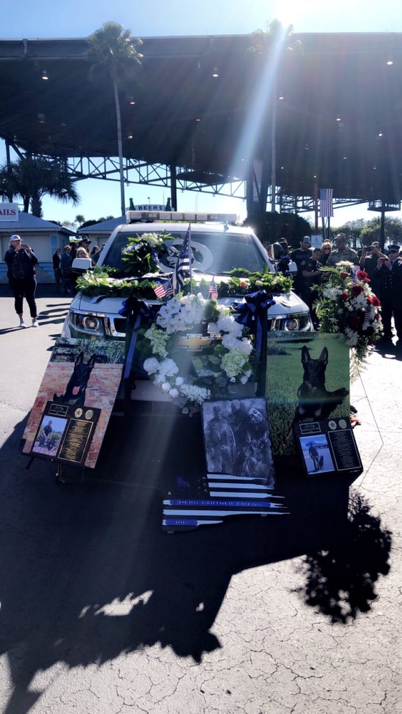 Thank you for your service and heroic sacrifice for the community. Rest easy K9- Deputy Cigo🐶👮🏽‍♂️❤️
<a href="/DelrayBeachPD/">Delray Beach Police</a> <a href="/PBCountySheriff/">PBSO</a>