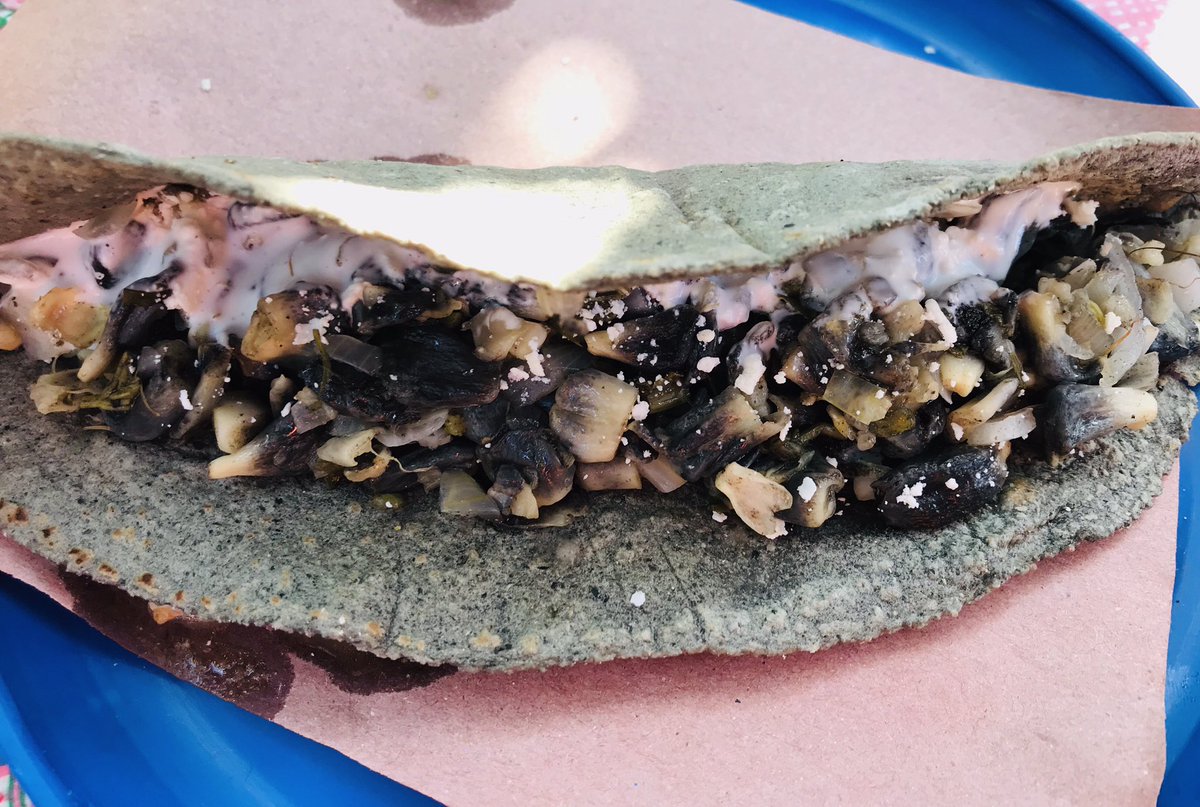 NeftalyCM's tweet photo. Does any of you fancies a Ustilago maydis quesadilla? #MexicanFood #PlantPathogens https://t.co/3n0xK1k1xe