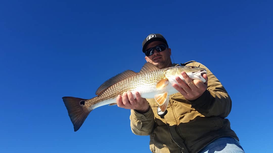 FirstCoastExpe1's tweet photo. Its Florida cold, but the fishing is 🔥!
@Power_Pole @sageflyfish @BassAssassinLur #Firstcoastexpeditions #flyfishing #sightfishing #skifflife https://t.co/rPl5c0VuYp