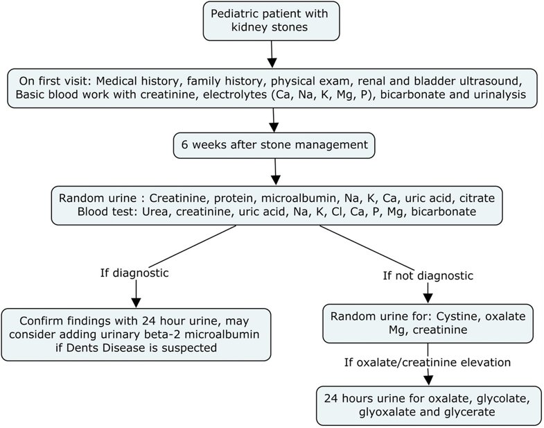 Role of pediatric nephrologists in the work-up and management of kidney stones - Rodriguez Cuellar et al, 2019, Pediatric Nephrology