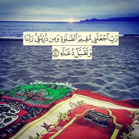 محمد المهندس tweet media