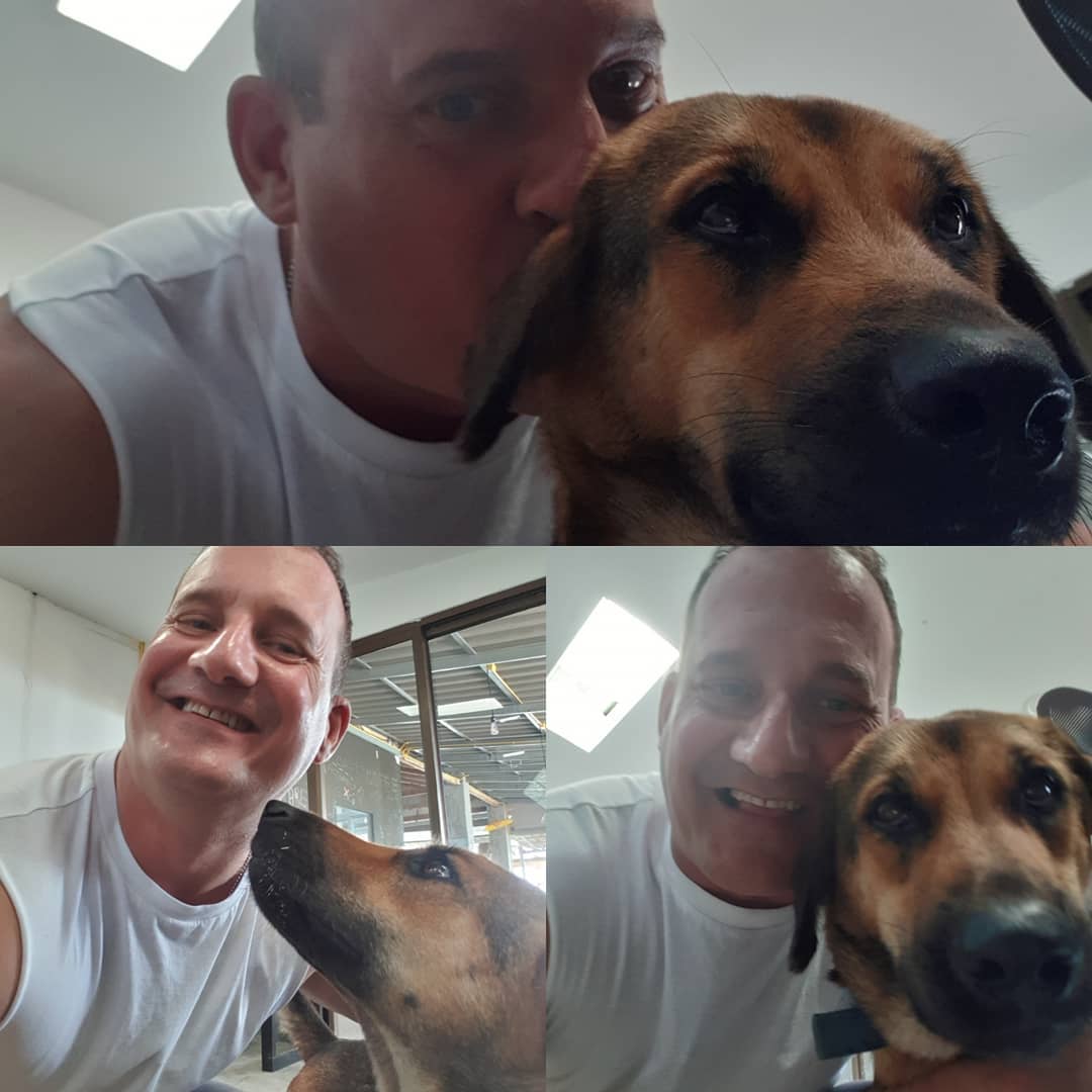 Jasontantra's tweet photo. My office mate today .... called .... wait for it ... Hounds Help Tantra ... hahaha ... no dogs were injured or harmed and nothing illegal took place ... #gaydog #gay #dog #dogtantra #loveddogs #doglove #lgbtdog #dogselfie https://t.co/h37E17DcEx