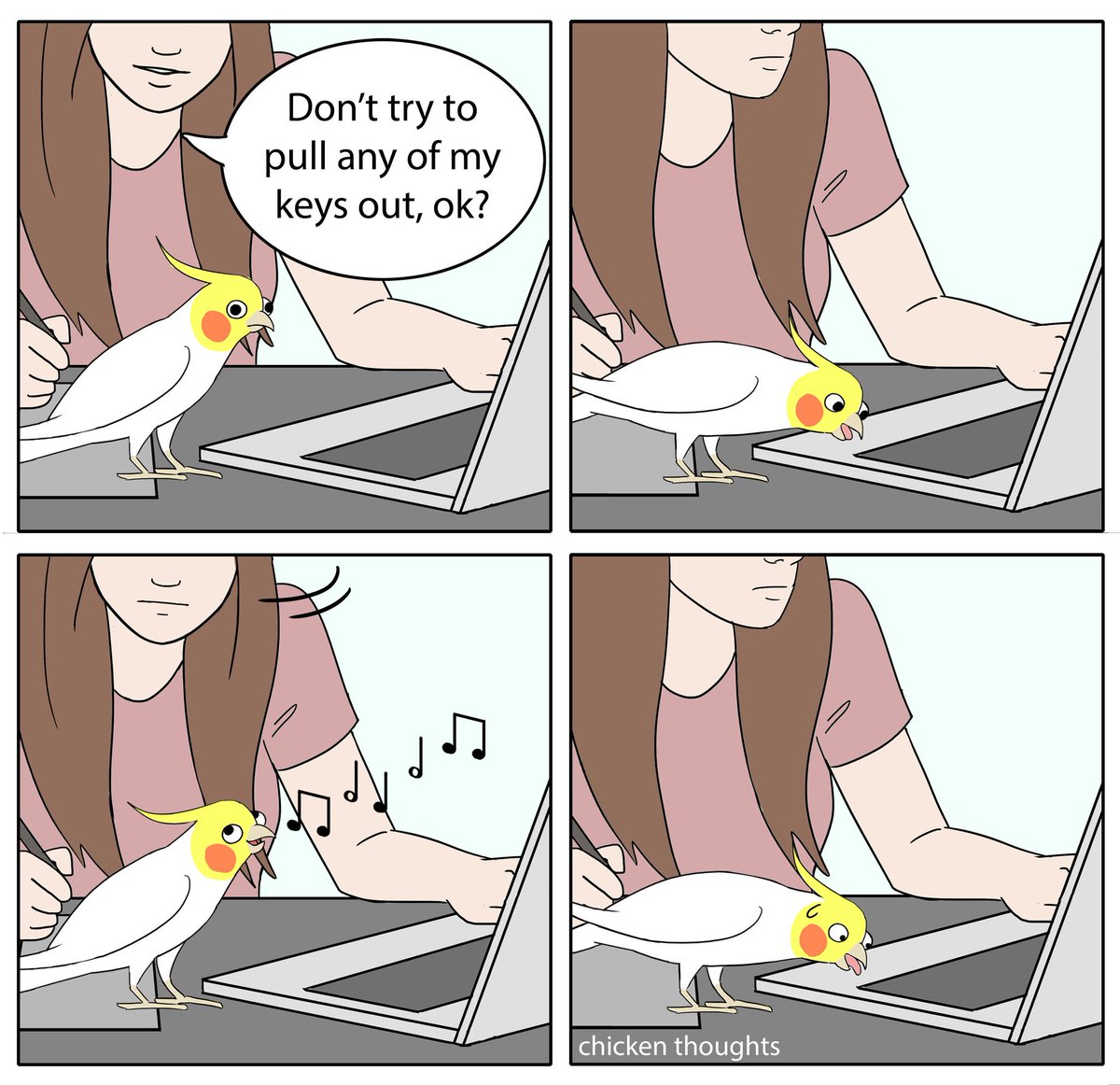 #birb 