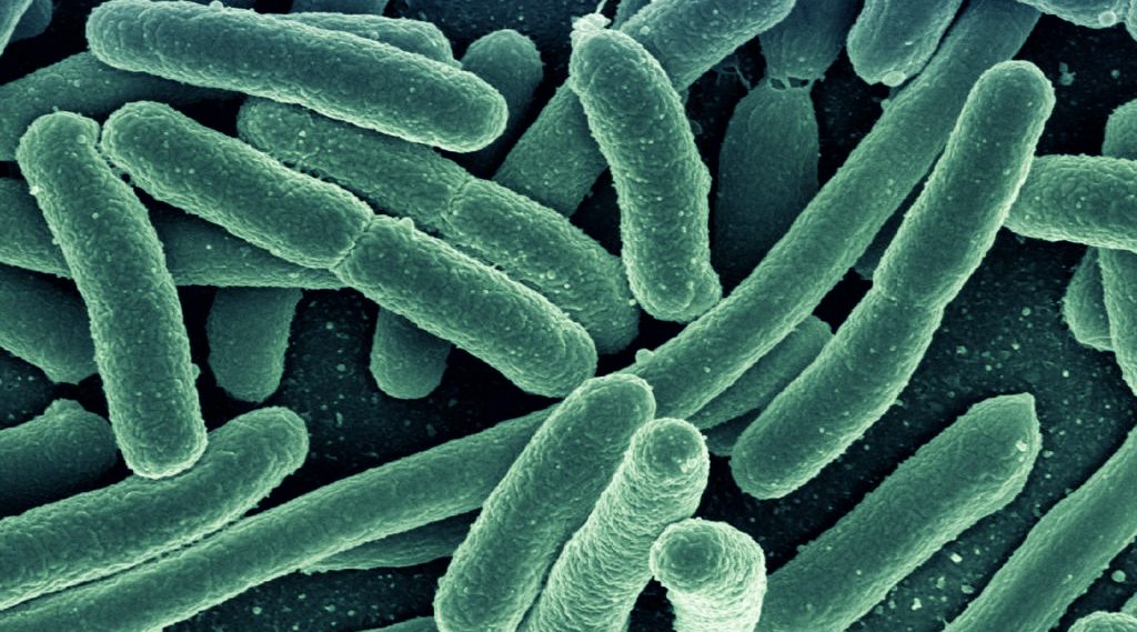 textileinst's tweet photo. Antibacterial Nanogel-based Textiles
Researchers develop a #nanogel which when grafted onto cotton material prevents bacteria sticking to it.
#Textiles #TextilesResearch #AntiBacterial #PolymerScience #NanoMaterials
https://t.co/xcC771jHak https://t.co/wQ67GwE4iz