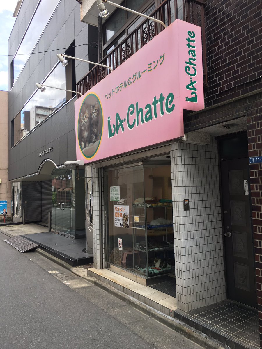 nomade-geek tweet media