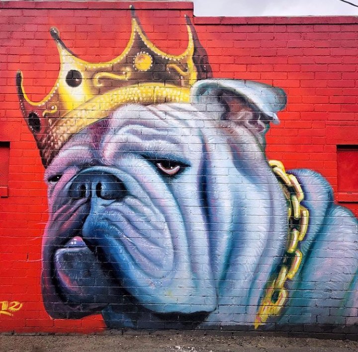 Cuiet426's tweet photo. Name the first RAPPER that comes to Mind......
#Streetart #nametherapper https://t.co/yXvh5r3wMU