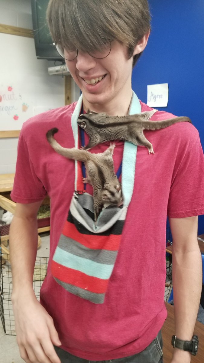 ElizCMiegel's tweet photo. It's never a dull moment on SAE presentation day! We had sugar gliders, ducks, a pig skull, and some amazing raw honey all from student's semester long, self-directed projects! #TRHSFFA #WeAreTR18 #SCFFA #SAE #FFAJustOne #LearningByDoing https://t.co/q4fGjVSnfB