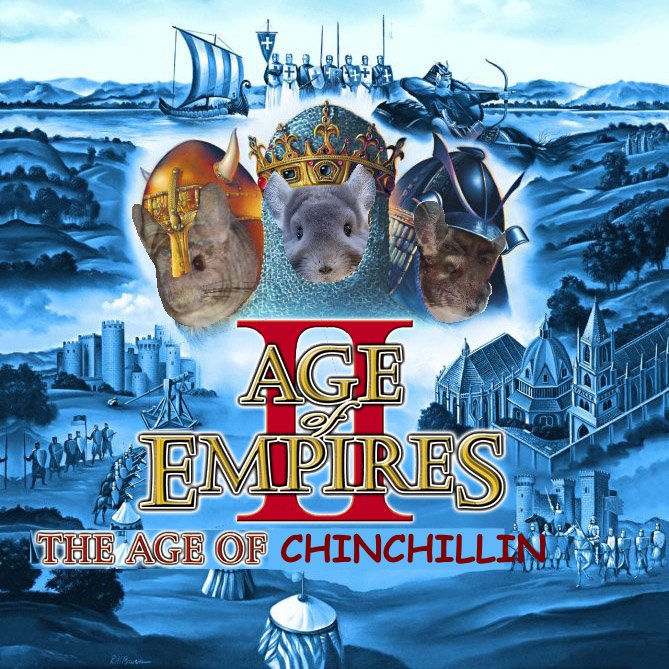 swangolini's tweet photo. #best #fucking #game #ageofchinchillin https://t.co/tXMhgUapH4