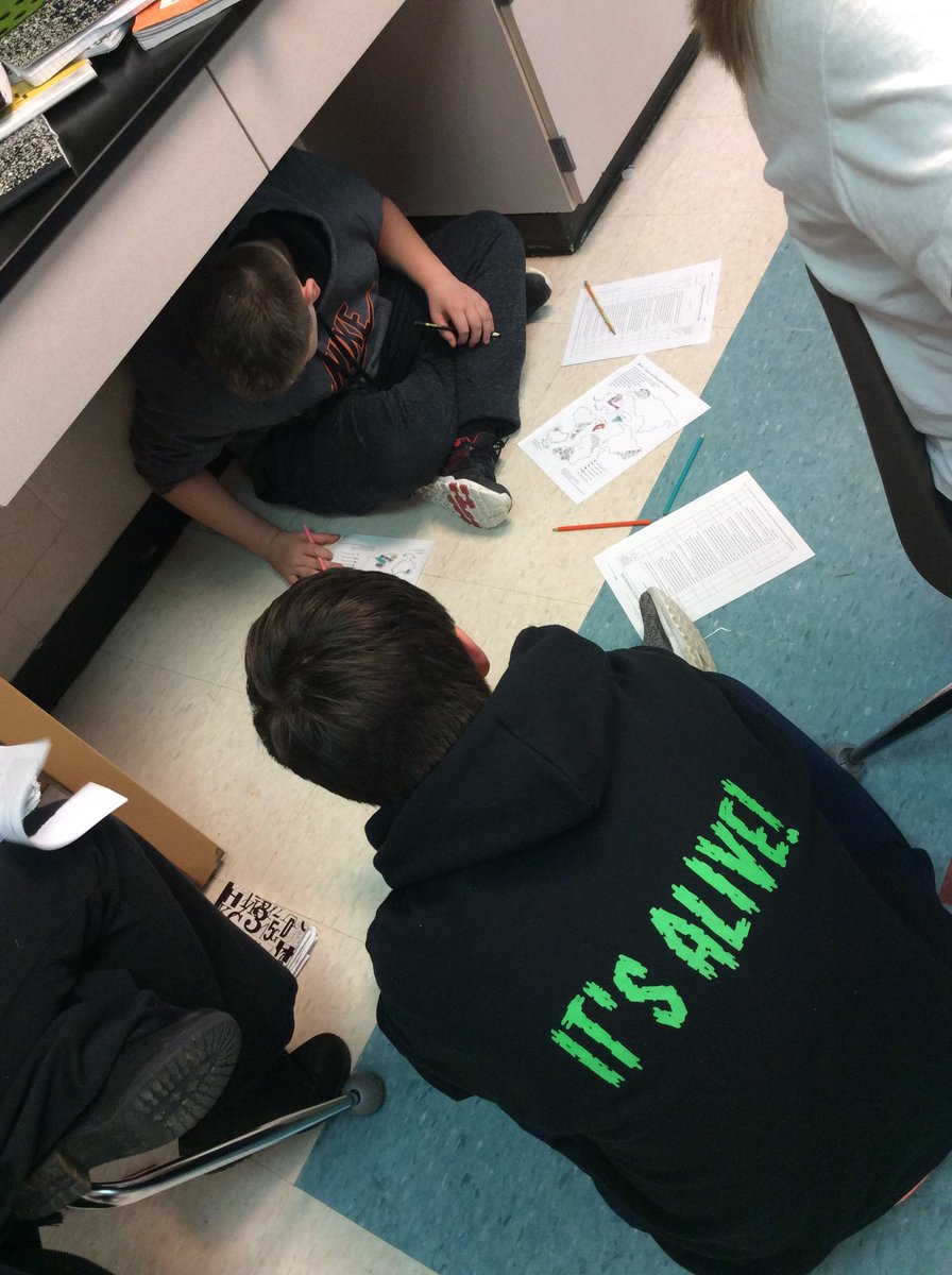 IvanESMS's tweet photo. Cutting out continents and looking at fossil records and mountain ranges to see if we can find evidence of continental drift. #ivanscience #esmsbestyearever https://t.co/BhoKOp8NRk