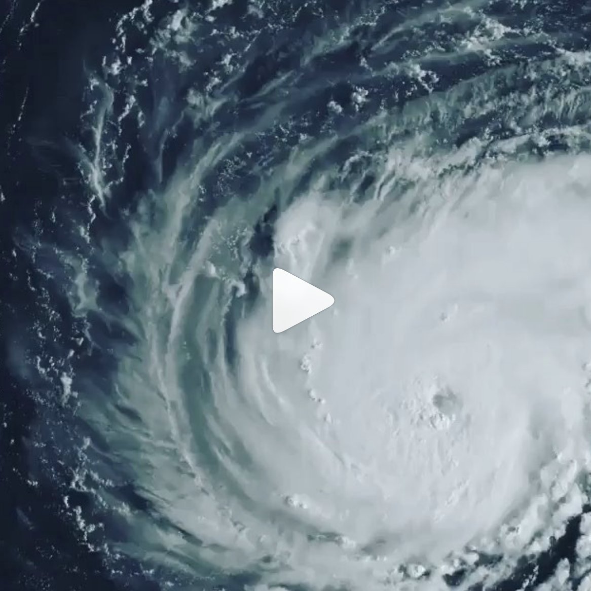 Bambu Earth tweet media