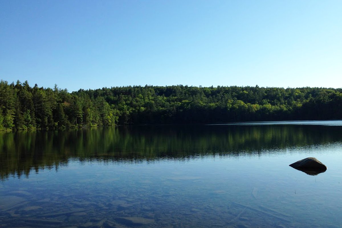 CNS_UMass's tweet photo. Reading 900 years of #climate #history in pond sediment: ‘Paleo-thermometer’ technique charts fluctuations, trends. More at: https://t.co/j7FjOzzIQx
#UMassNaturallyCurious
#UMassGeosciences https://t.co/sOmgRfSRsU