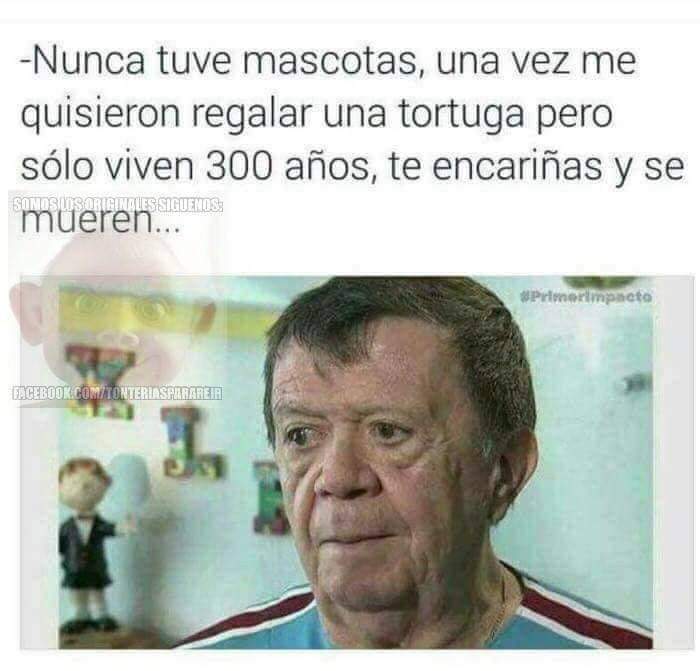 chavaramos's tweet photo. Ese chaveluxquis  es un lokillo... https://t.co/gRJ8KbHZRX