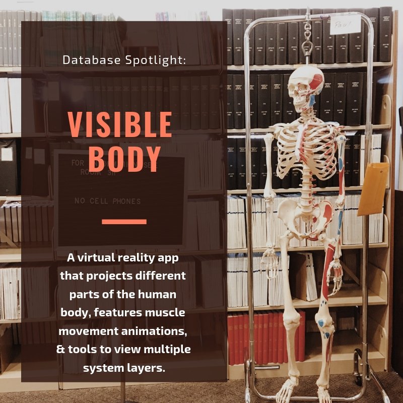 pumerantzlib's tweet photo. Start off the new school term with Visible Body, a virtual reality app that projects different parts of the body, features muscle movement animations, & tools to view multiple layers. Download app here: https://t.co/7SRpPyFTaP #pumerantzlibrary #westernuway @WesternUNews https://t.co/zcgUQlGCiy