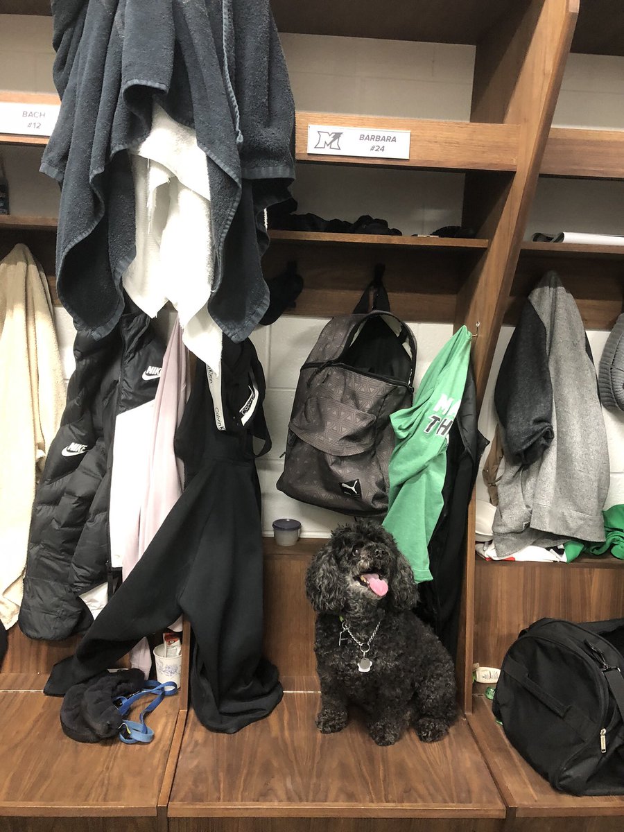 ThunderCWHL's tweet photo. And #TwitterlessBarbara’s Dakota thought the treats were delicious https://t.co/v87kS1rXaX