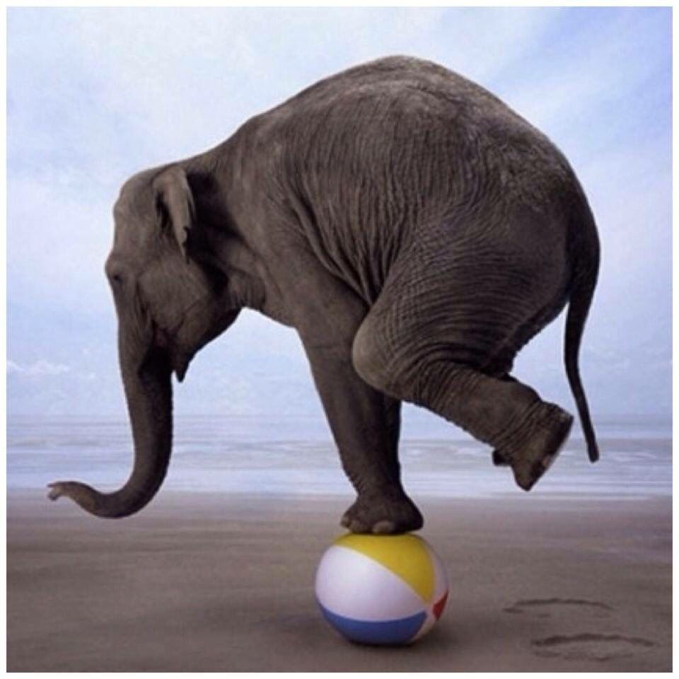 BALANCE - Never let success go to your head and never let failure go to your heart...