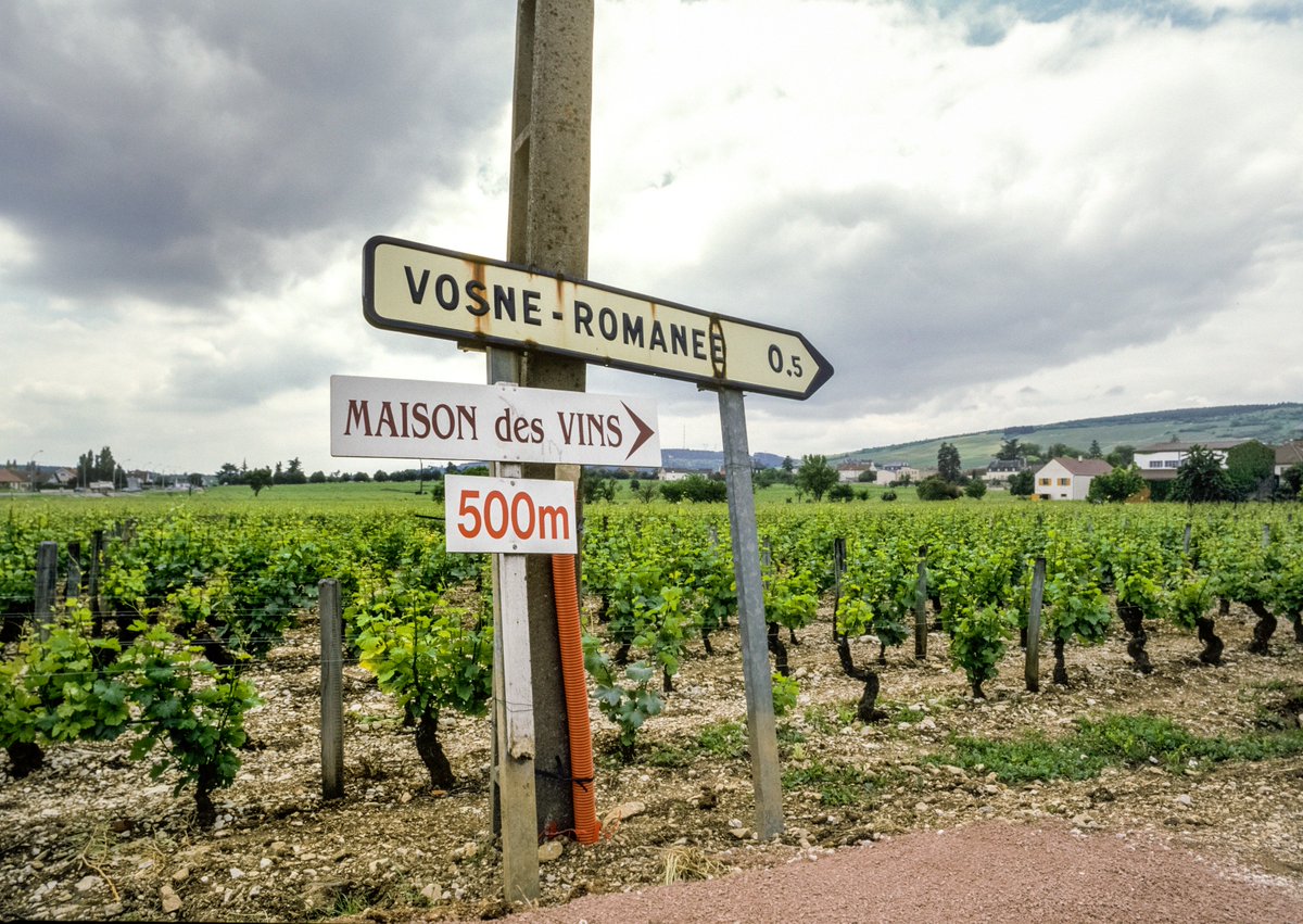 mrwheelerwine's tweet image. Early January is always an exciting time in the UK wine trade, the highlight of which is most certainly the release of Burgundy’s latest vintage! Take a look at some of our early releases: mrwheelerwine.com/burgundy2017.h… #wechoosebetterwine #burgundy