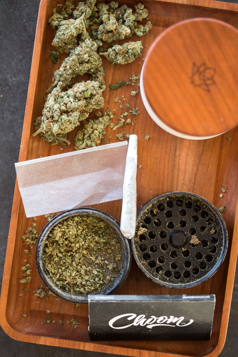 saskcompassion's tweet photo. Do you have a favorite strain? What terpenes do you look for in your cannabis? We would love to hear what you like &amp; dislike, leave us a review or email our team directly! https://t.co/YXXb3yikRb https://t.co/NFqmSY5qTe
