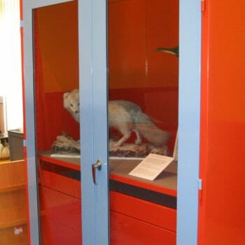 ampfablimited's tweet photo. Do you have an educational trip to plan in the Aberdeenshire area? Why not visit the Arbuthnot Gallery?

We created a range of multi-coloured storage cabinets to contain all types of specimen and keep the children interested!

https://t.co/kTdj558xUL https://t.co/1TfkVEGlJr