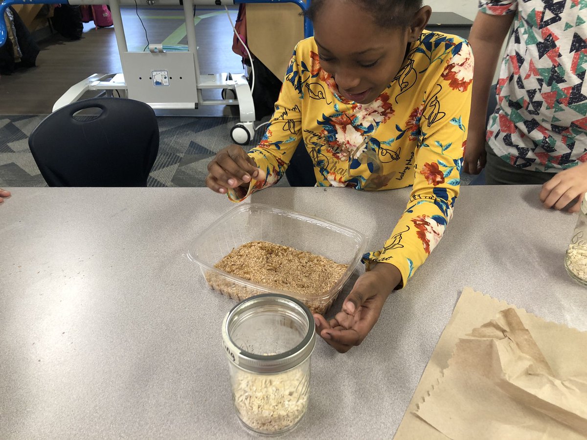 e_barchers's tweet photo. Learning animal life cycles with mealworms (part 2). #3rdgraderocks @HMC1MeYouUs @MrsStalkerHMC @CompassHMC1 @HMC1Proud https://t.co/5DdTNFNdn6