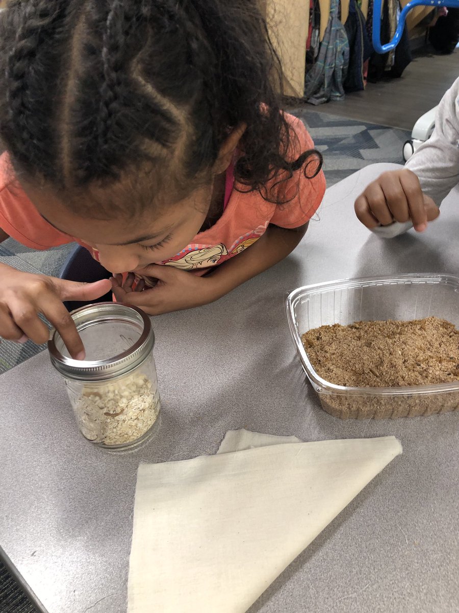 e_barchers's tweet photo. Learning animal life cycles with mealworms (part 2). #3rdgraderocks @HMC1MeYouUs @MrsStalkerHMC @CompassHMC1 @HMC1Proud https://t.co/5DdTNFNdn6