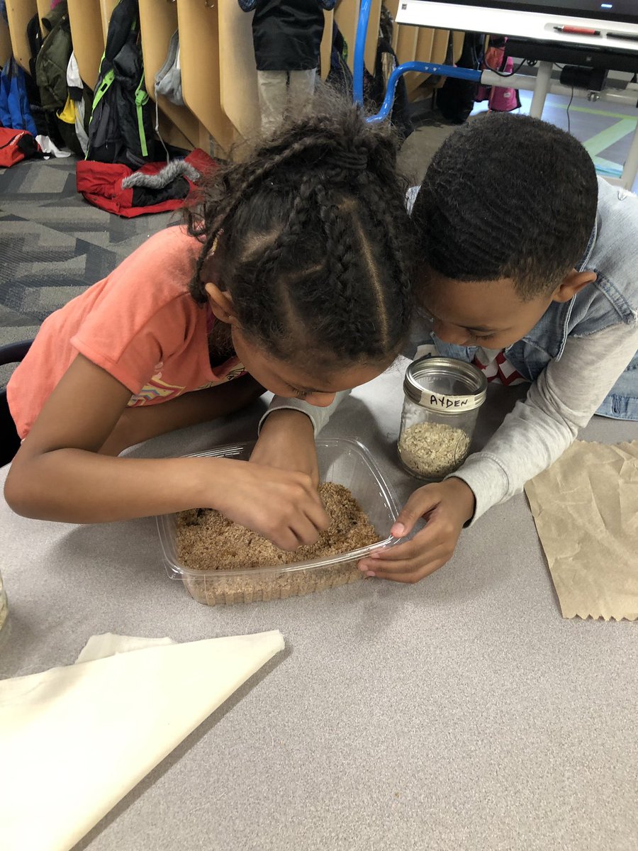 e_barchers's tweet photo. Learning animal life cycles with mealworms (part 2). #3rdgraderocks @HMC1MeYouUs @MrsStalkerHMC @CompassHMC1 @HMC1Proud https://t.co/5DdTNFNdn6