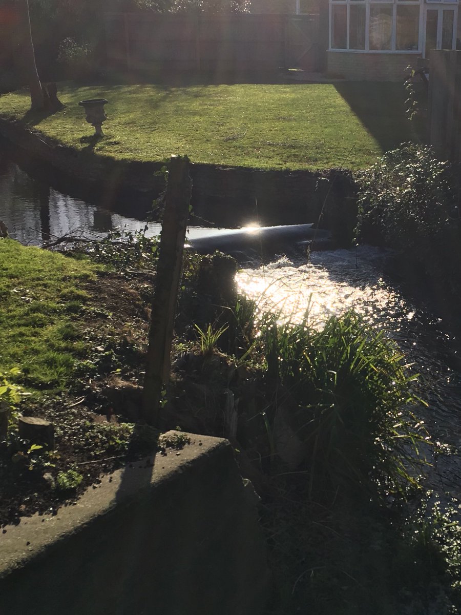 LetcombeBP's tweet photo. One of the many small weirs that make fish passage difficult on the #LetcombeBrook I will be seeking funding to try and get some of these removed or modified. https://t.co/9aiJG26zD2