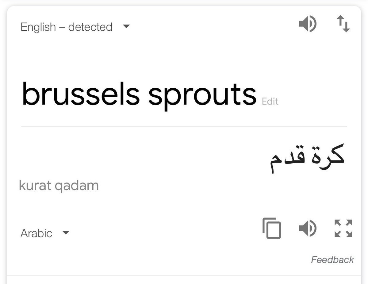 Afnansays's tweet photo. So brussels sprouts is translated into “football” in arabic
#اخطاء_الترجمة #ترجمة_قوقل #translationerrors https://t.co/sAQsrYsXx2