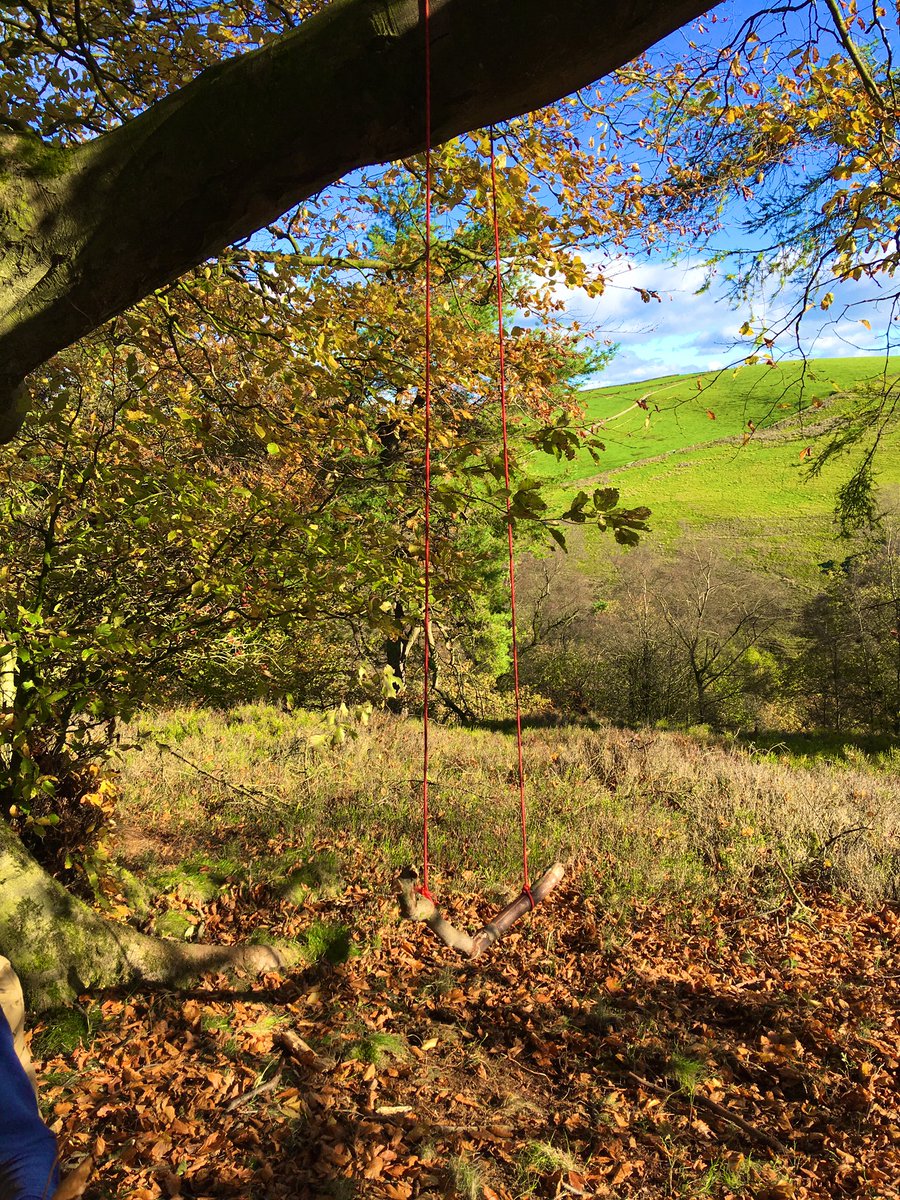 harwescottage's tweet photo. Did you realise Harwes Far Cottage sits in a Bio Diversity Heritage Site or that you will have 36 acres of natural woodland to explore on site ? @VisitLancashire @Welcome2Yorks @WoodlandTrust  #countryside watch out for our 2019 booking offers coming soon... https://t.co/2MOCbhnhfB