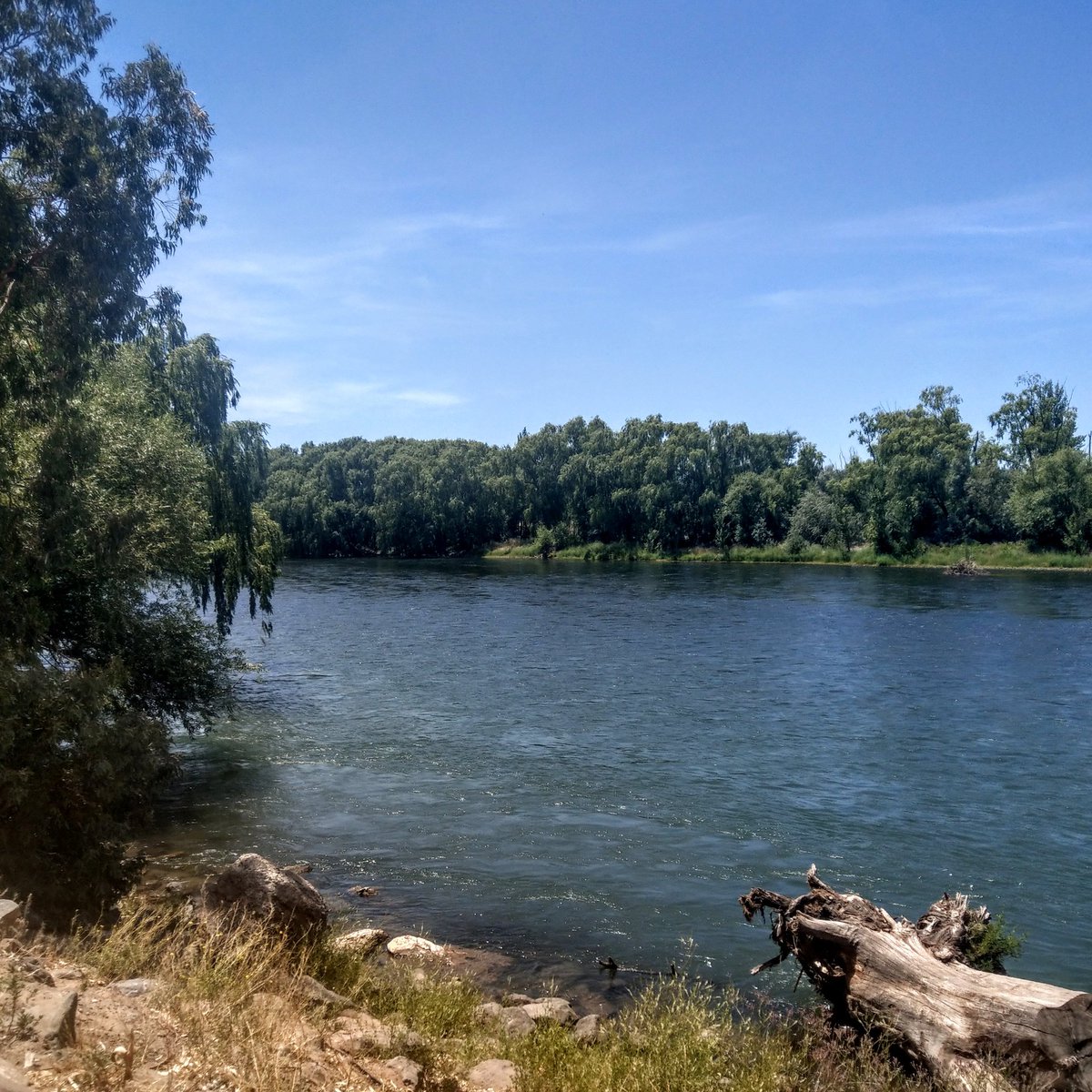 marianabodensee's tweet photo. 😎Tarde de mucho sol a orillas del río Neuquén, disfrutando de la belleza patagónica antes de seguir viaje, el domingo a Bariloche.
#ArgentinaTrip https://t.co/T8kXnOQkdq
