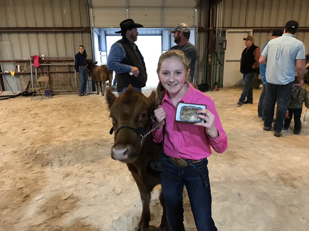 SizemoreBMS's tweet photo. BMS sudents working hard at the stockshow. Great job! #showmanship #bluegrit https://t.co/j3I4absqX0