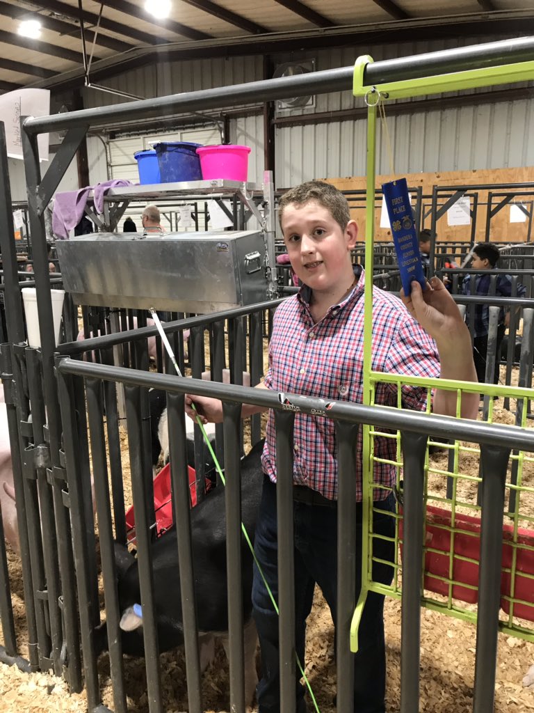 SizemoreBMS's tweet photo. BMS sudents working hard at the stockshow. Great job! #showmanship #bluegrit https://t.co/j3I4absqX0