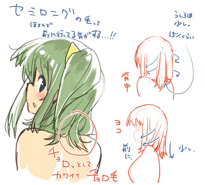 最近観察してて気づいたこと落書き。

チョロ毛、萌えですわ 