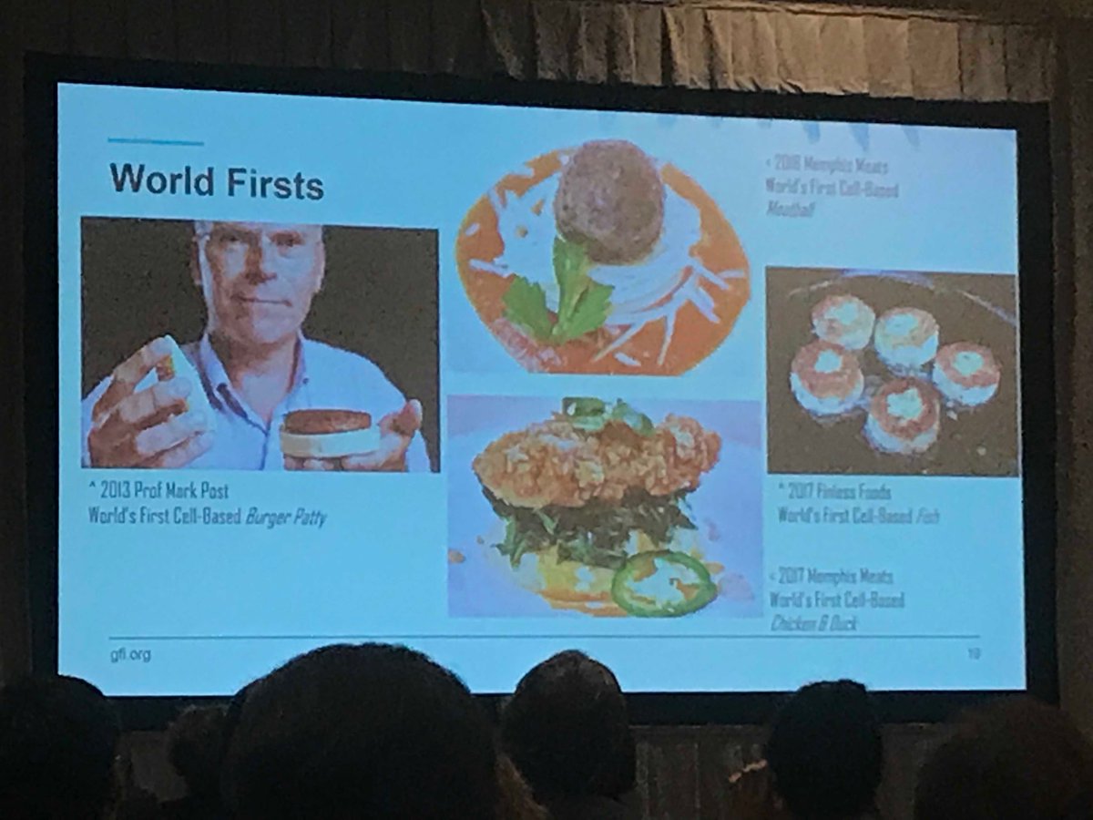 cronanmcnamara's tweet photo. Plant based meats and cell based meats are progressing rapidly in the last few years. Huge environmental benefits due to the basic thermodynamics of animal agriculture. #ILSI2019 ⁦@GoodFoodInst⁩ https://t.co/6K68RJ2M71