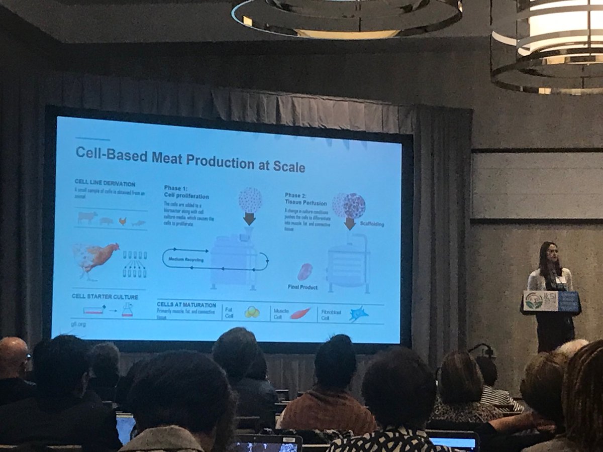 cronanmcnamara's tweet photo. Plant based meats and cell based meats are progressing rapidly in the last few years. Huge environmental benefits due to the basic thermodynamics of animal agriculture. #ILSI2019 ⁦@GoodFoodInst⁩ https://t.co/6K68RJ2M71