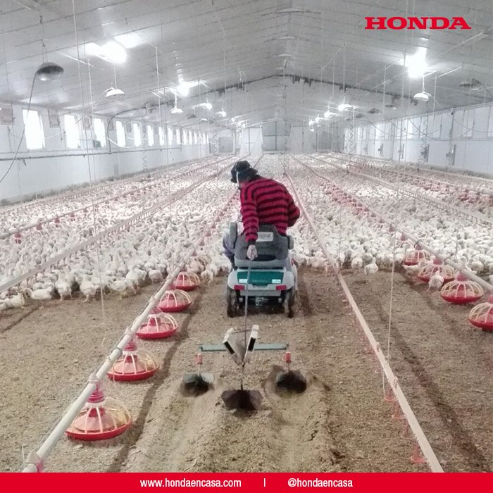 hondaencasa's tweet photo. ¿Sabíais que el Honda Monpal sirve de motoazada ideal para las granjas avícolas? Su motor eléctrico ultra-silencioso es respetuoso con los animales: 0 ruidos, 0 emisiones https://t.co/ThSUWRpo7f | #Honda #ThePowerOfDreams #Monpal #Scooter #Motoazada 🐤🐣🐥 https://t.co/C18F2LVMr6
